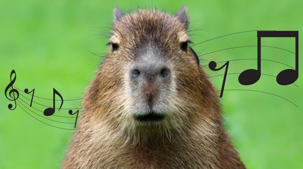 Capybara song lyrics