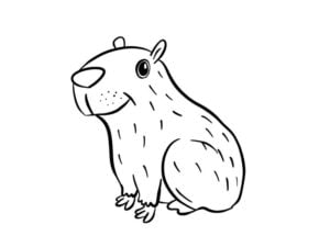 Capybara Easy Drawing