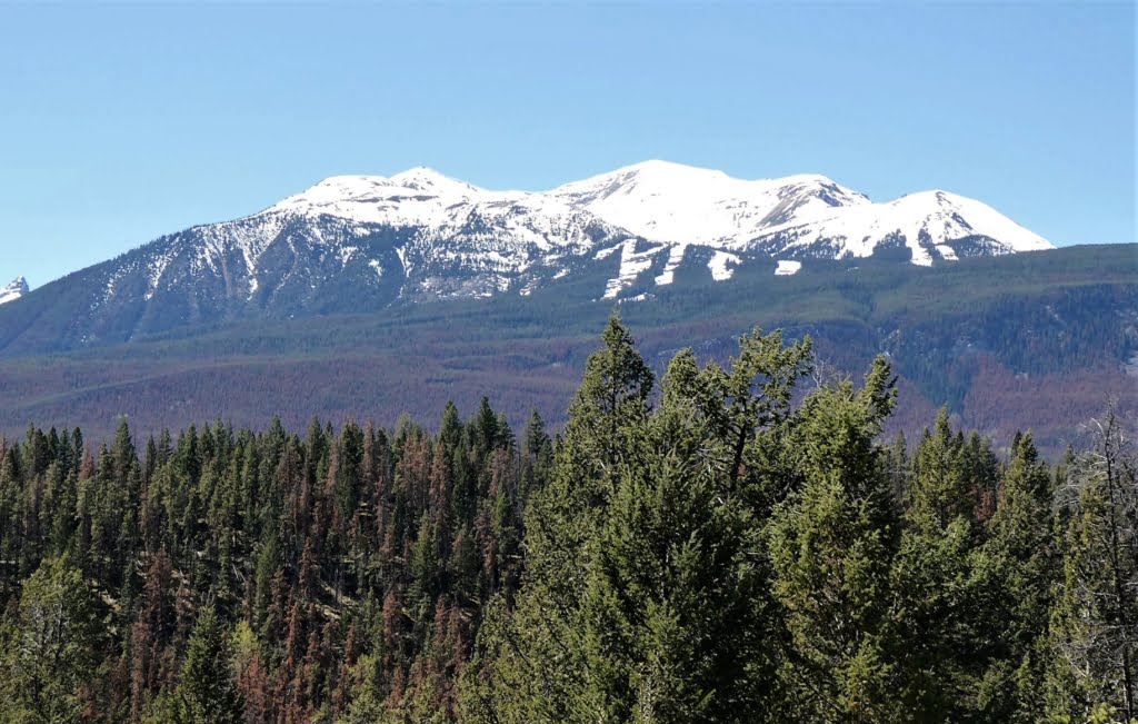 marmot mountain