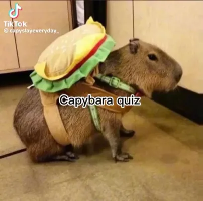 Capybara quizes 